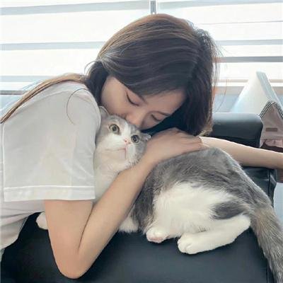 好莱坞结局